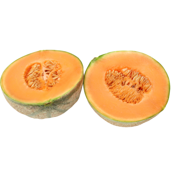 Muskmelon