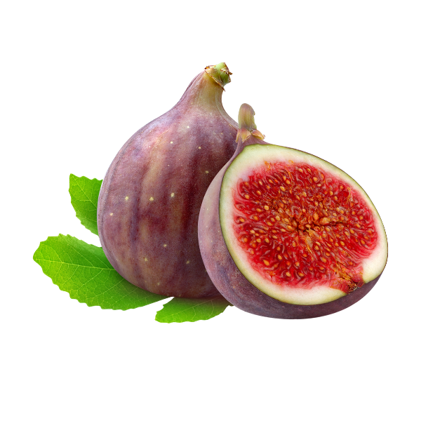 Fig