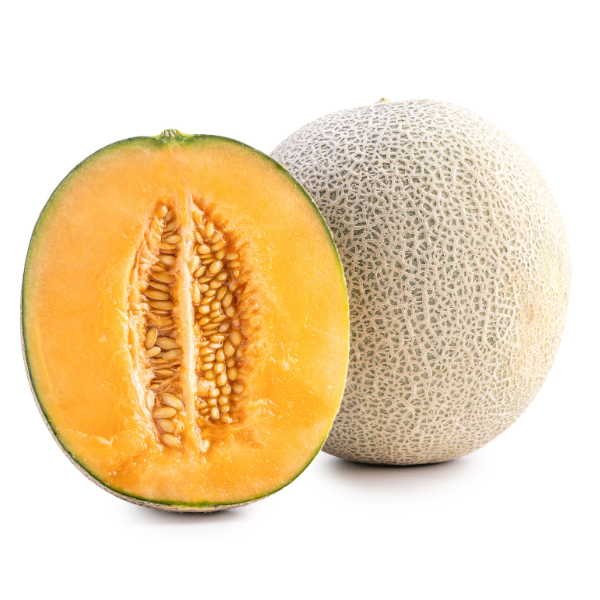 Muskmelon