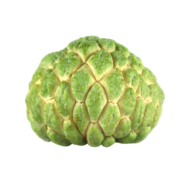 Custard Apple